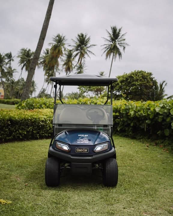 Carrito de alquiler Carts4You en Palmas